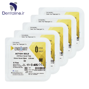 فایل روتاری اندوآرت گلد اکشن