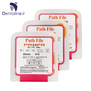 فایل روتاری پروفا پث فایل