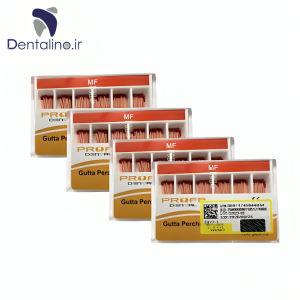 گوتا پرکا پروتیپری پروفا Profa