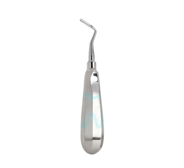 الواتور اپیکال چپ فتاح طب 1257 Fattahteb
