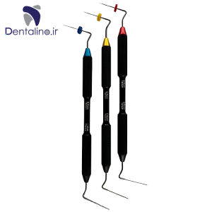 پلاگر بوچانان