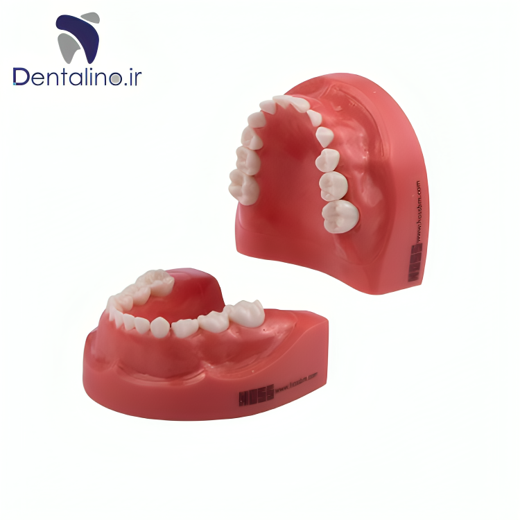 مدل تمرینی اطفال با لثه سخت