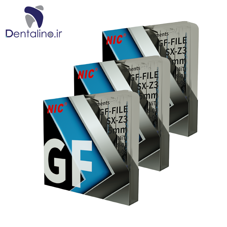 GF FIle NIC