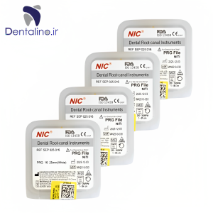 پث فایل روتاری PRG NIC